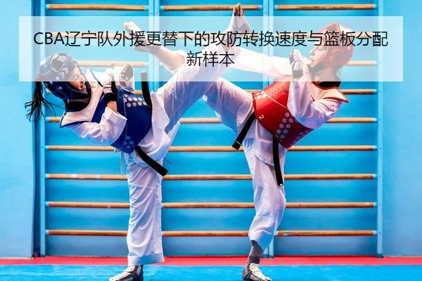 liao-ning-dui-wai-yuan-geng-ti-xia-de-gong-fang-zhuan-huan-su-du-yu-lan-ban-fen-pei-xin-yang-ben-1-149.jpg